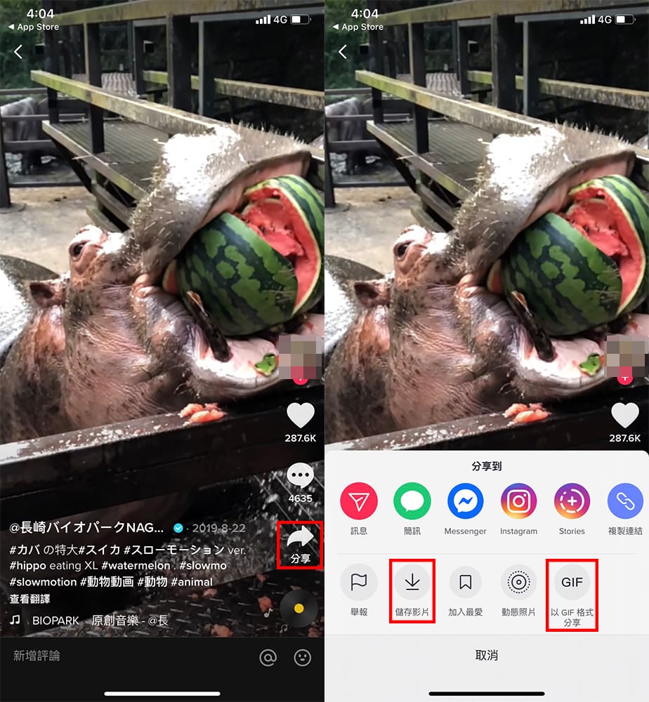 科技新知】TikTok抖音影片MP4下載教學！手機/電腦版都可以！|傑昇通信~挑戰手機市場最低價