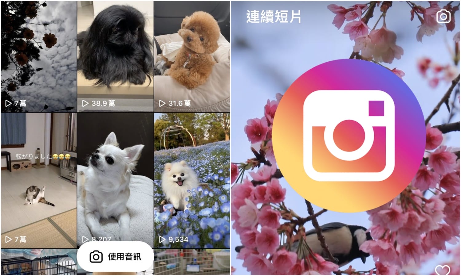 【科技新知】「Instagram Reels連續短片」怎麼用？IG短影音剪輯教學