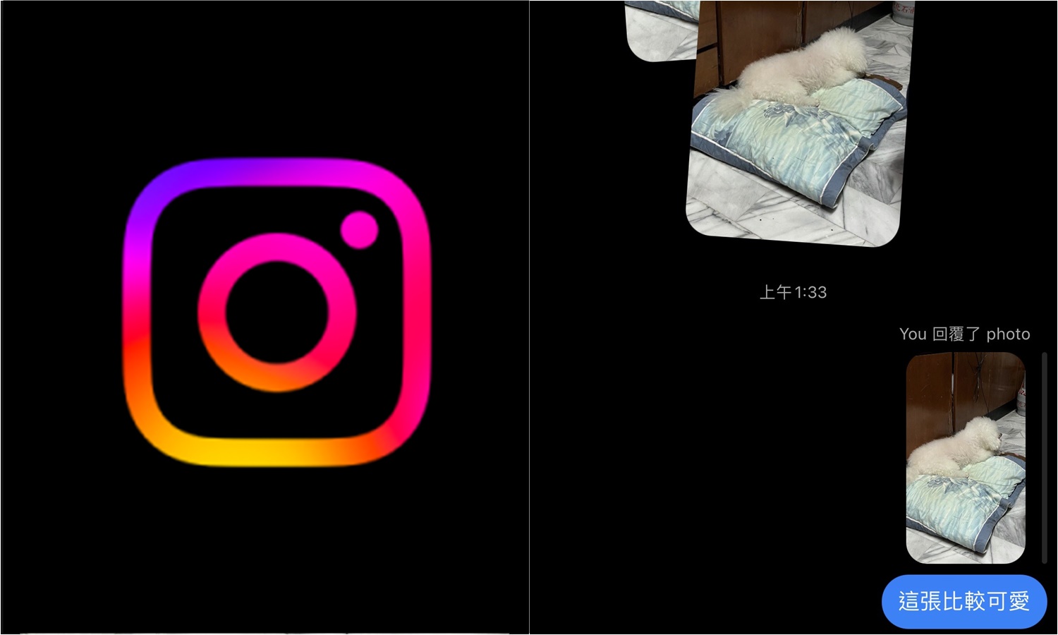 【科技新知】Instagram聊天室怎麼回覆單一張照片/圖片？IG新功能看過來！