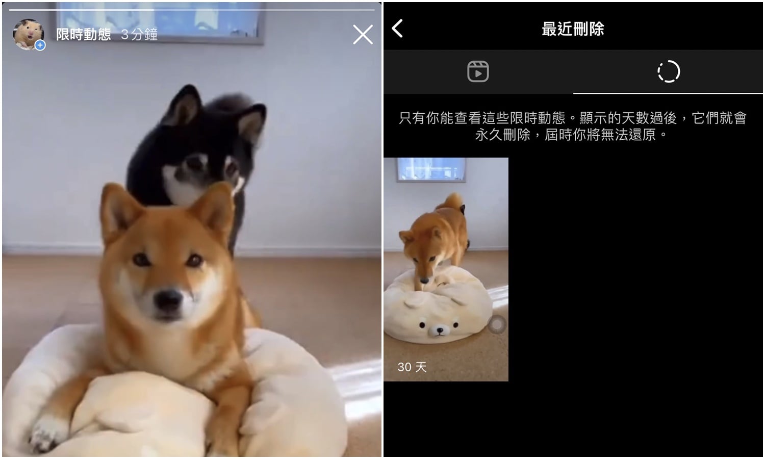 【科技新知】IG最近刪除的限時動態在哪裡？如何恢復顯示？