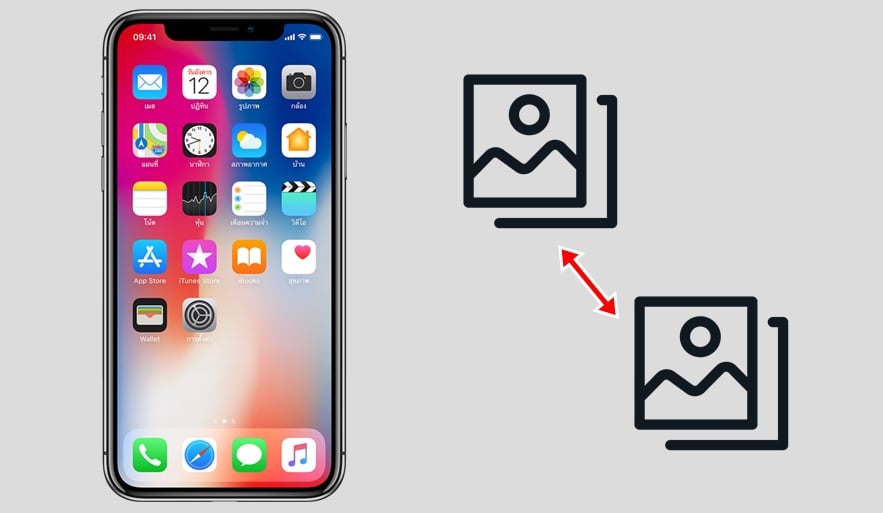 【手機專知】iPhone如何複製相簿中的照片&影片？教你一鍵備份圖片/影片！