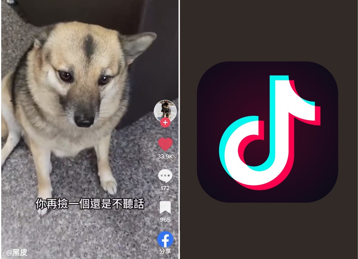 【科技新知】抖音如何查看按讚的影片？TikTok按讚紀錄公開/隱藏教學