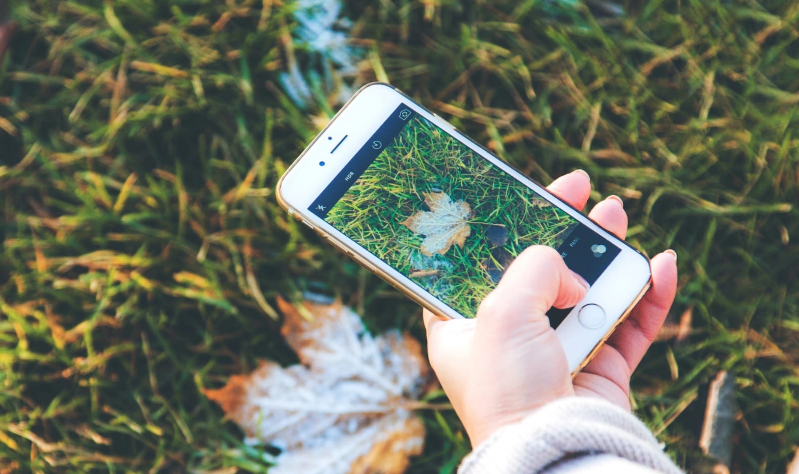 【手機專知】iPhone照片App怎麼建立相簿？如何加入照片或分享？