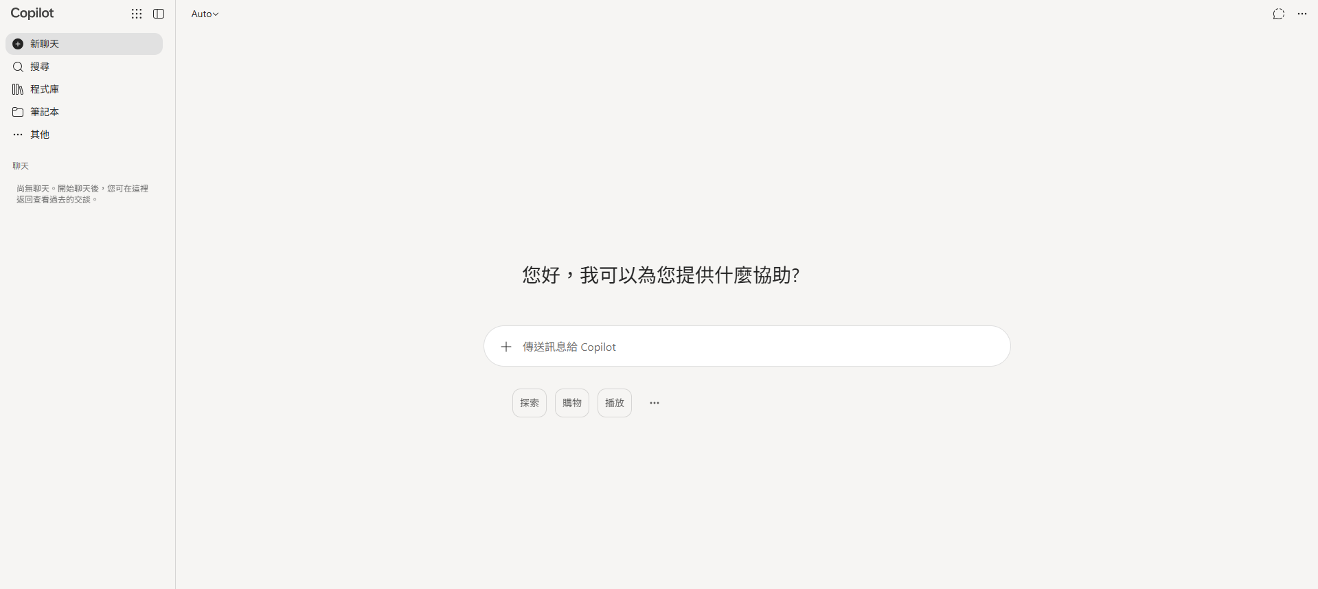 Copilot 介面