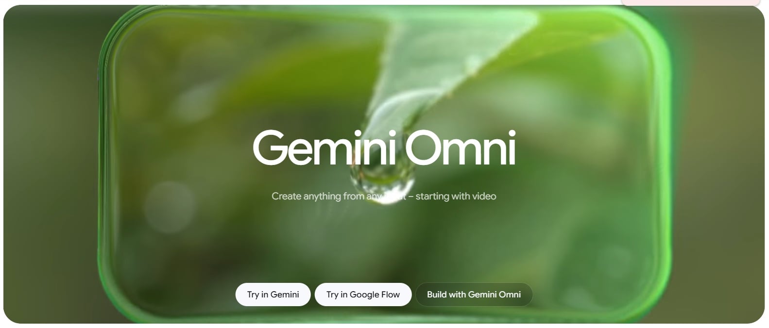 Gemini Omni