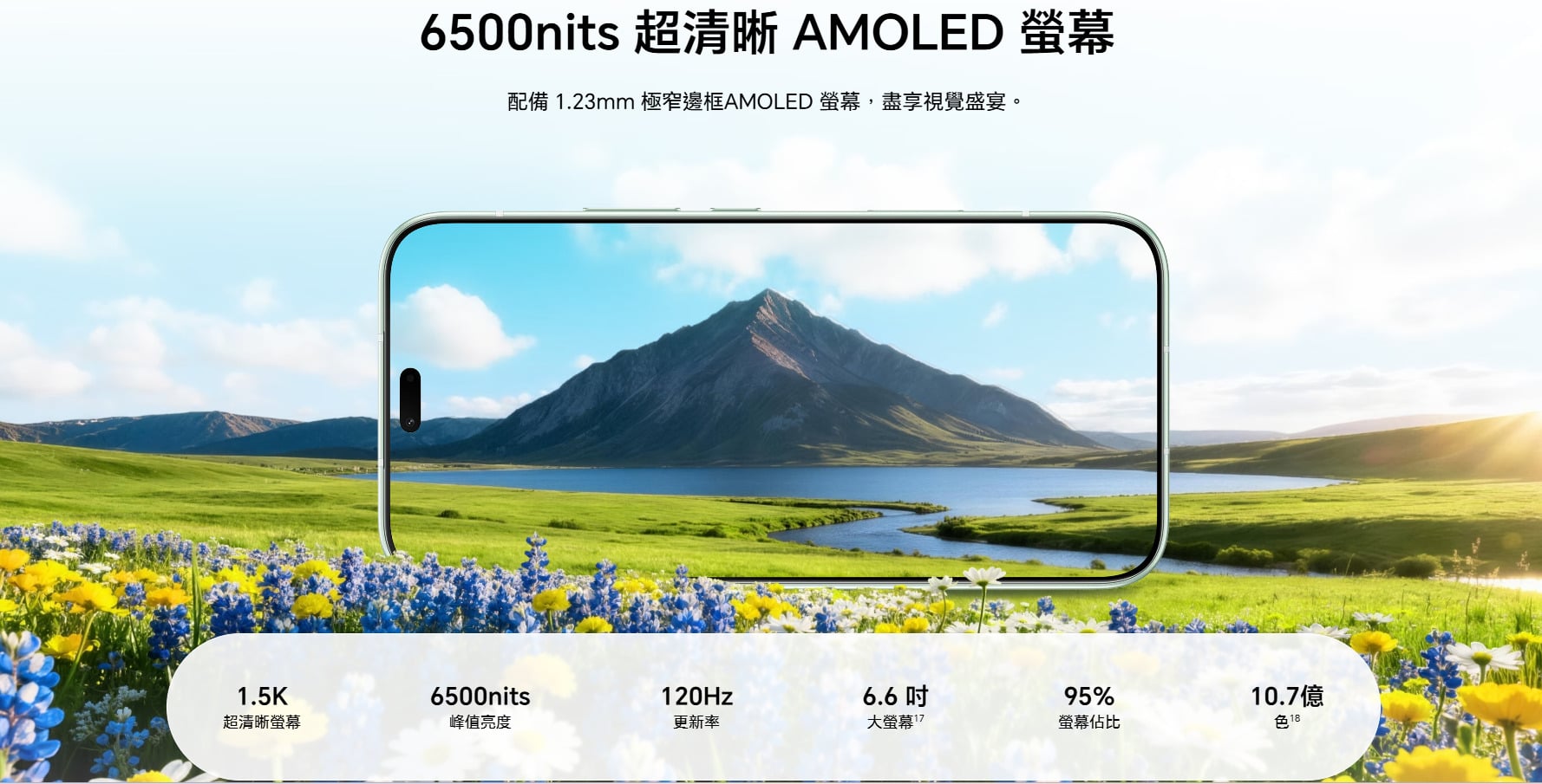 HONOR 600 Lite 螢幕