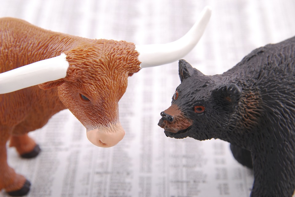 【理財專知】投資市場常見４動物！除了熊、牛又有什麼？