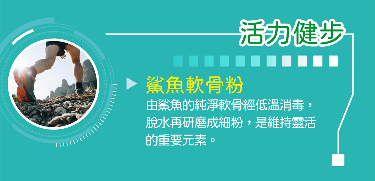 Décent 笛頌UCII好宜立