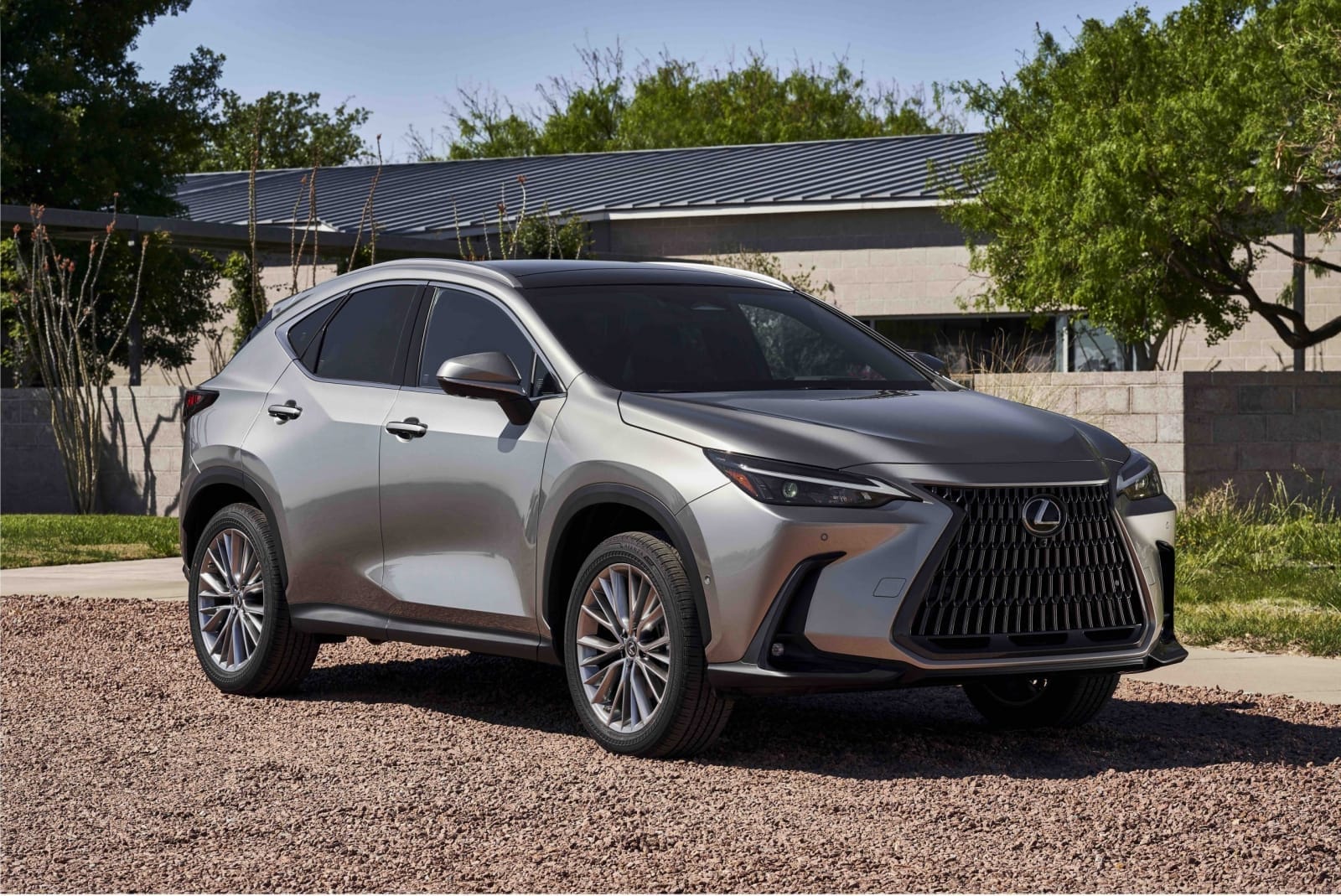 【車型介紹】Lexus NX350h！豪華版頂級動力！