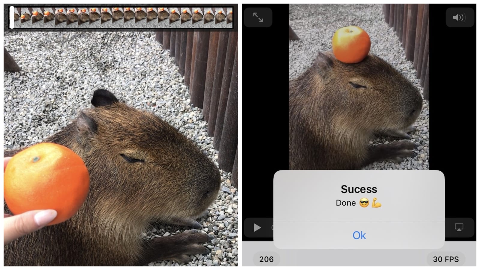 【手機專知】iPhone如何從影片截取高畫質照片？教你用方法搞定！