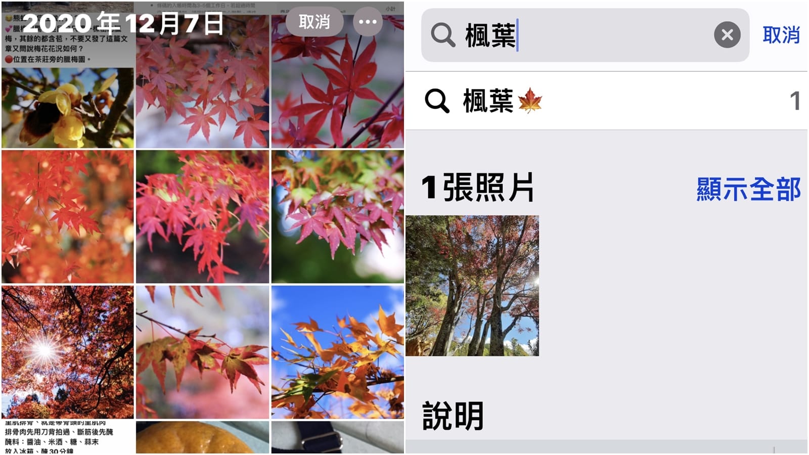 【手機專知】iPhone如何增加照片文字說明/關鍵字?搜尋技巧教學