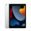 apple-iPad 10_2 2021 wifi-silver