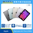 Apple iPad mini A17 Pro 256GB 5G 平板展示圖，多色機身扇形排列與正面螢幕，標示 A17 Pro 晶片、6 核心 CPU、5 核心 GPU、支援 Apple Intell