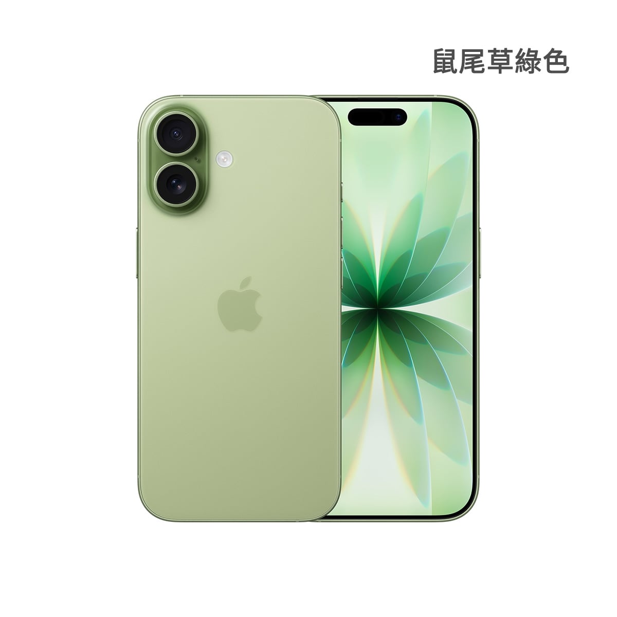 Apple iPhone 17 512GB 鼠尾草綠色正反面外觀圖