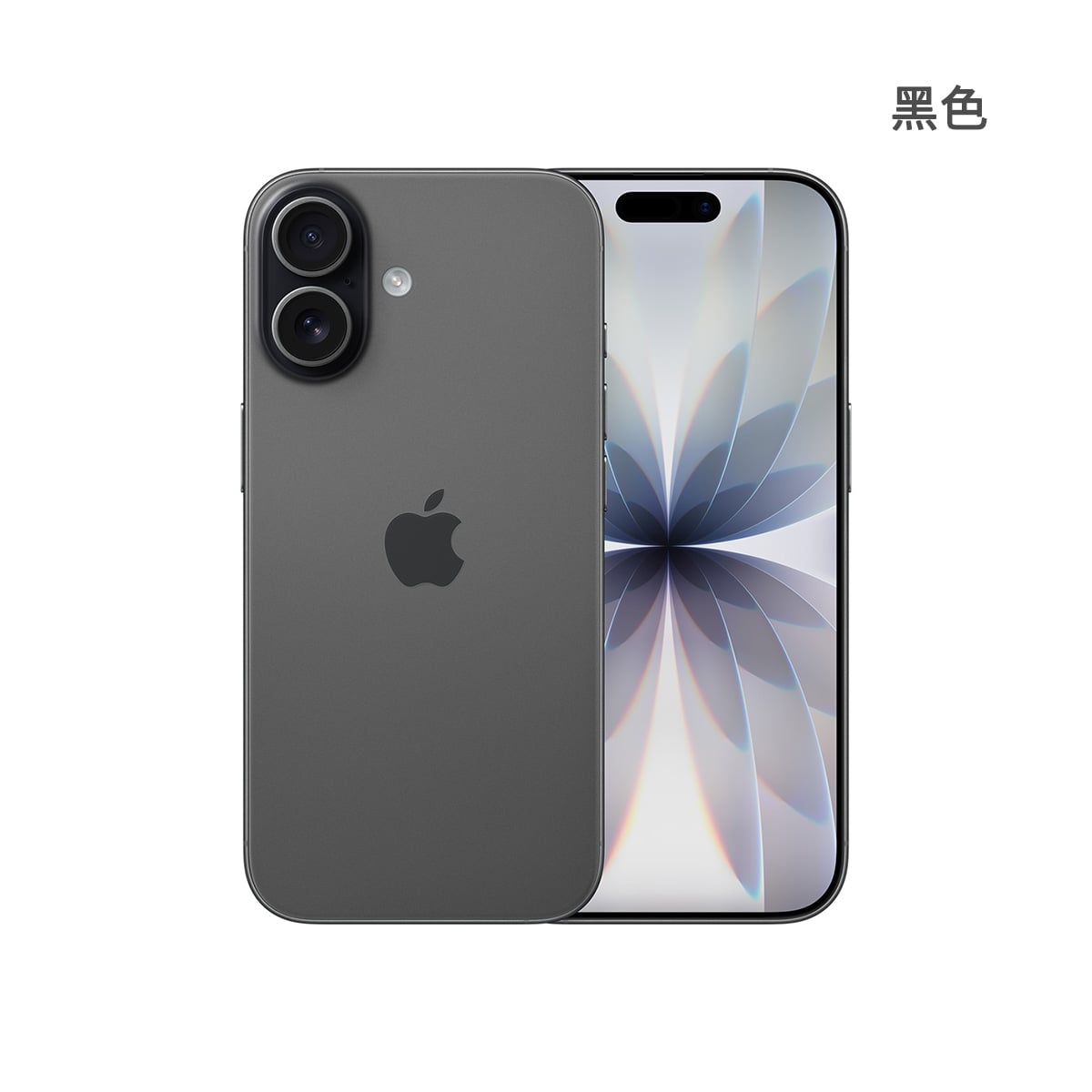 Apple iPhone 17 256GB 黑色正反面外觀圖