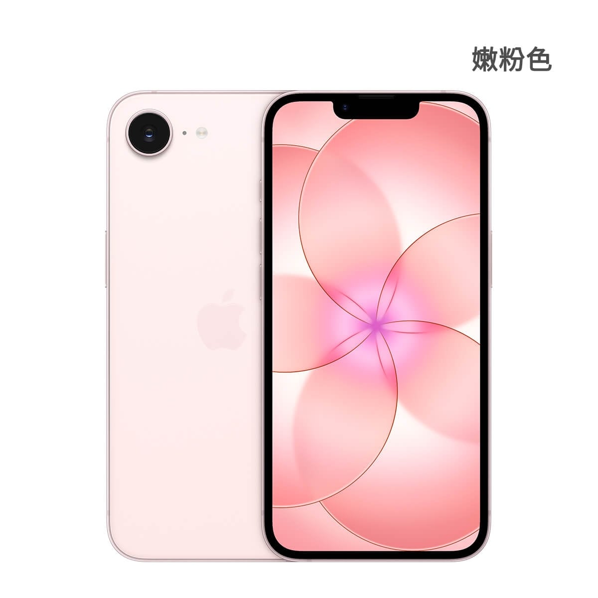 Apple iPhone 17e 512G 嫩粉色正反面外觀圖