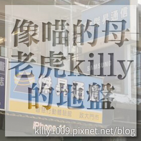 感謝✿❤像喵的母老虎killy的地盤❤推薦