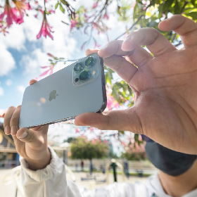 【快訊】iPhone 14最頂規要5萬？爆料人揭全系列售價