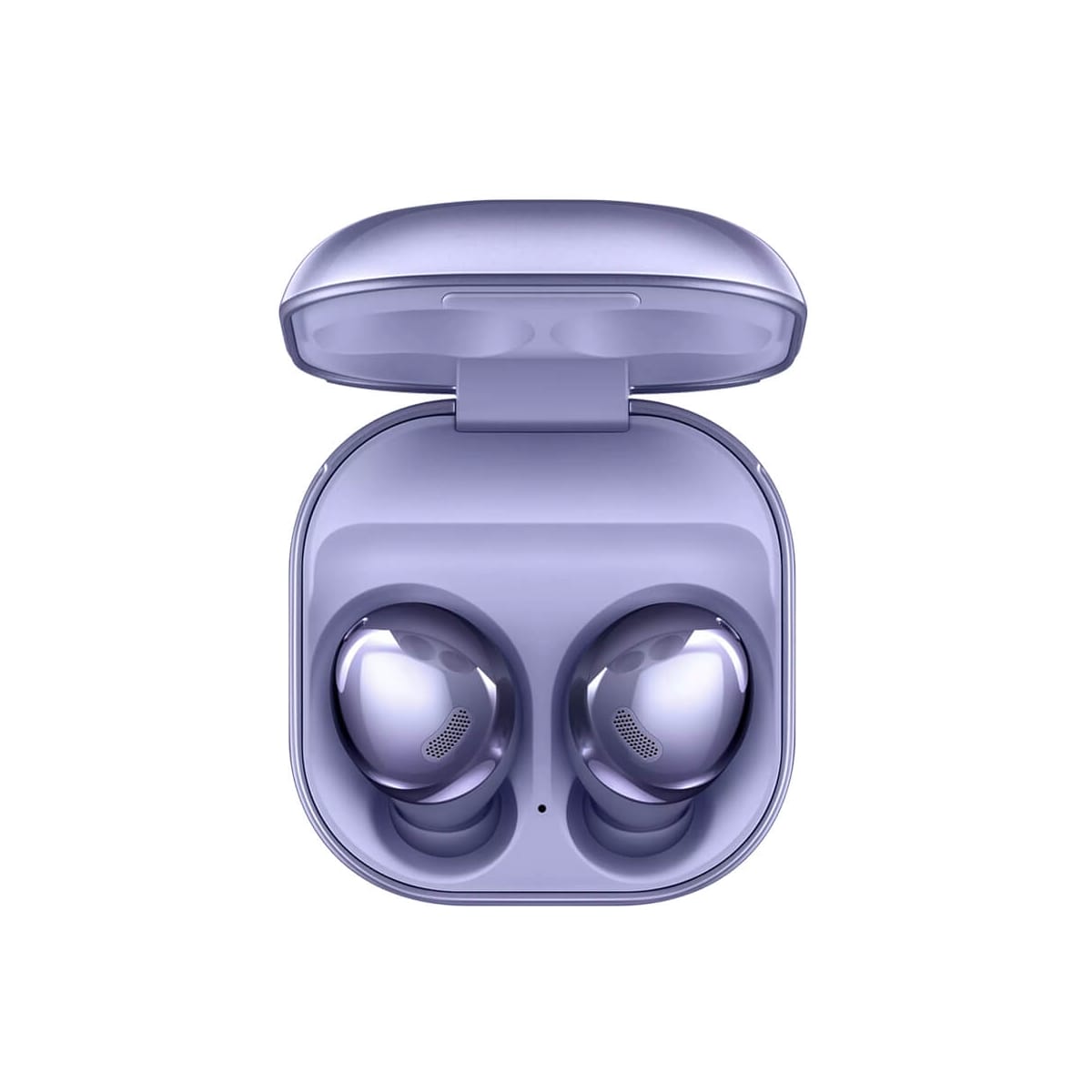 .星魅紫