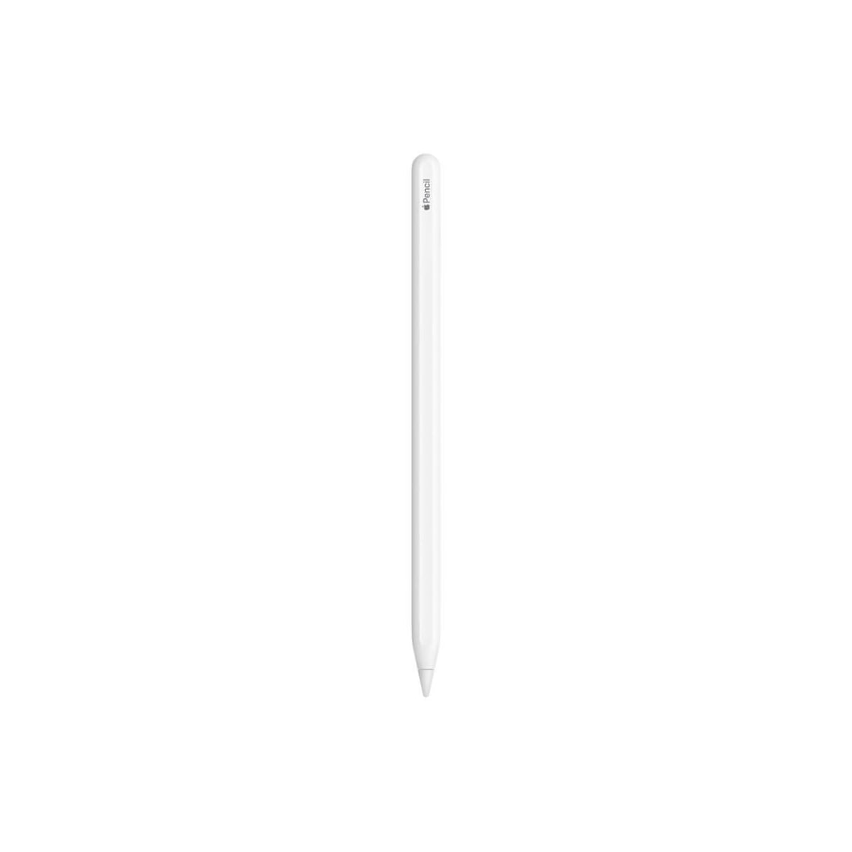 Apple Pencil (第2代) 觸控筆產品圖，白色筆身直立呈現，圓柱造型，筆身印有 Apple Pencil 字樣，單支展示於白色背景