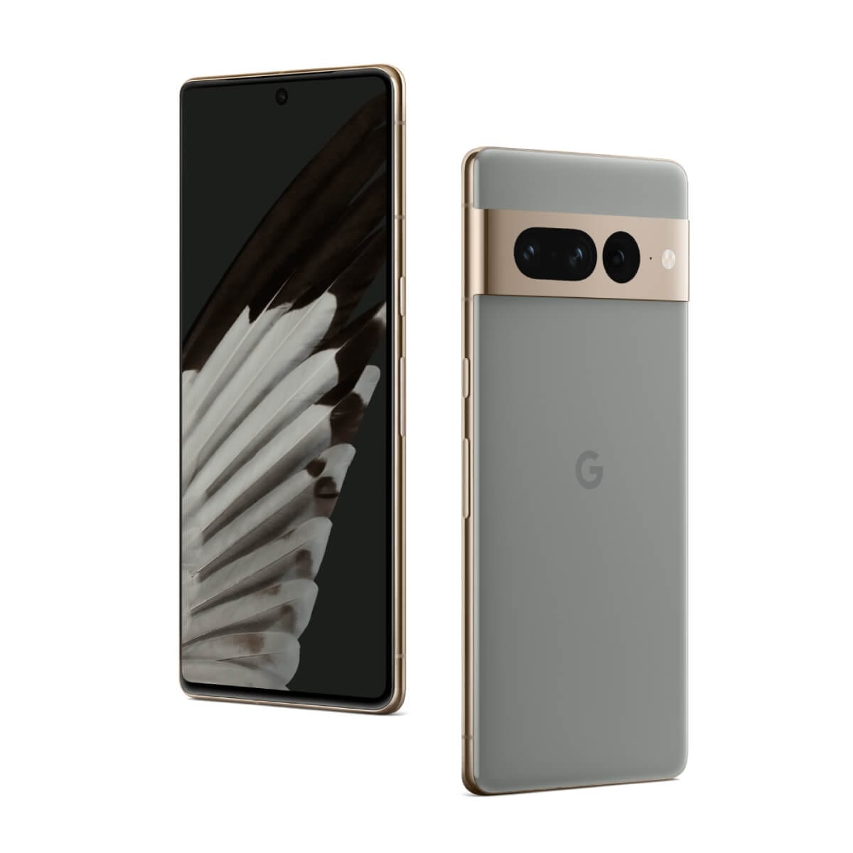 google-pixel 7 pro-gray