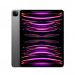 apple-iPad pro 12.9(6代)-grey