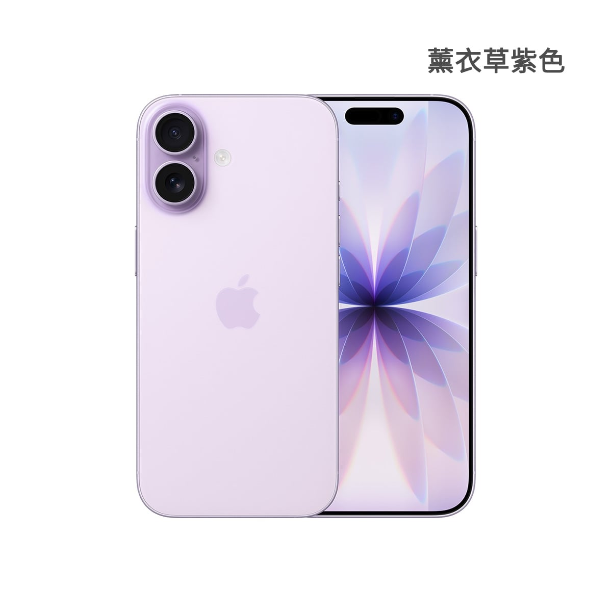 Apple iPhone 17 512GB 薰衣草紫色正反面外觀圖