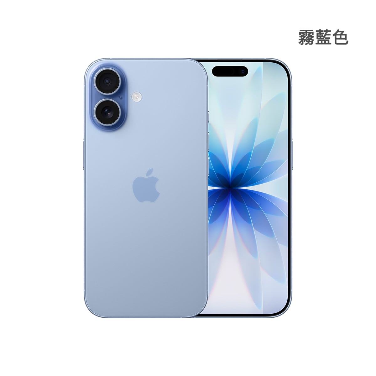 Apple iPhone 17 256GB 霧藍色正反面外觀圖
