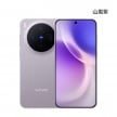 vivo X300 (12G/256G) 山嵐紫色正反面外觀圖