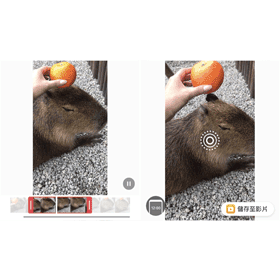 【APP推薦】「intoLive」幫你把iPhone影片轉成「原況照片」!一鍵快速轉換Live Photo